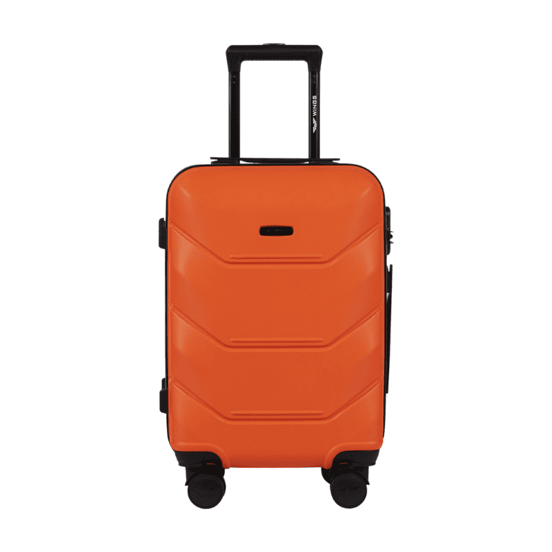 Wings Peacock handfarangur-small - Image 3