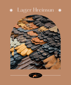 LAGERHREINSUN-HANSKAR